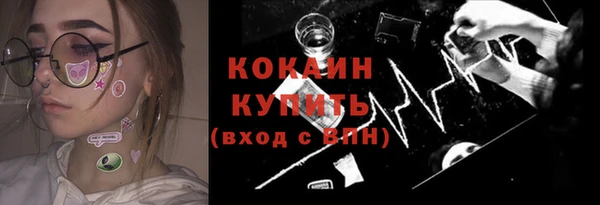 шишки Балабаново