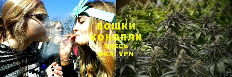 наркотики  Билибино  Шишки марихуана SATIVA & INDICA 